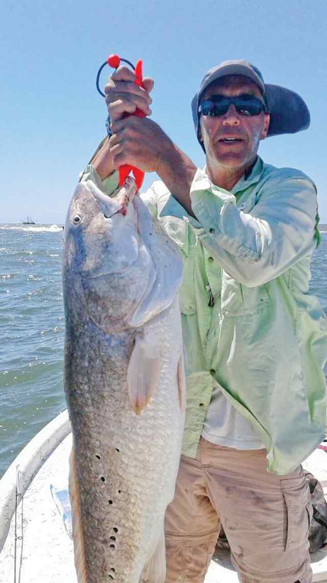 Mr. Redfish Fanelli Galveston northy jetty - 52" bull red, caught on half horse mullet
