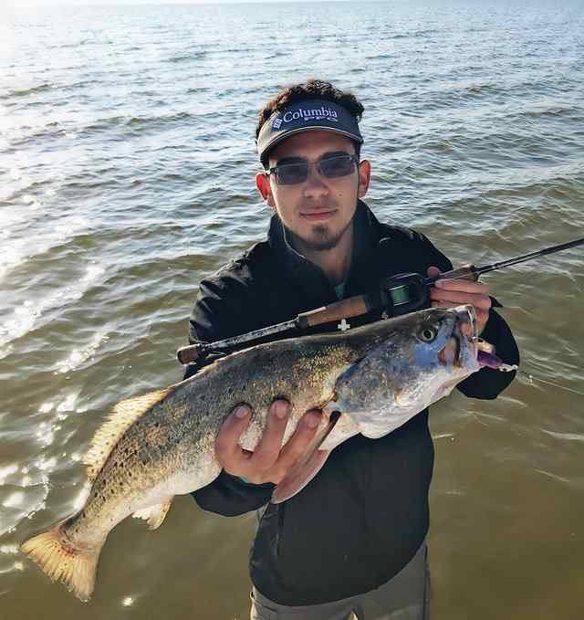 Ovi Saldana West Bay - 24" trout