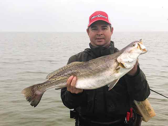 Pat Stafford Gorda  - 9.25 lb trout CPR, caught during new moon on the hot head super spook jr.