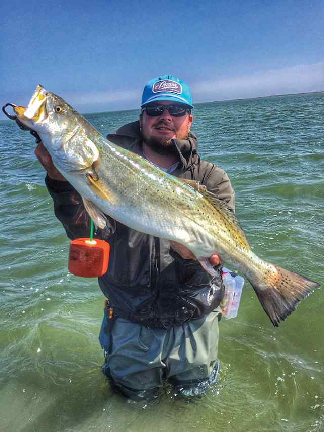 Robert Strickland Baffin Bay - trout CPR, caught on true plum downsouthlure with a 1/16 oz jig head in knee-deep water