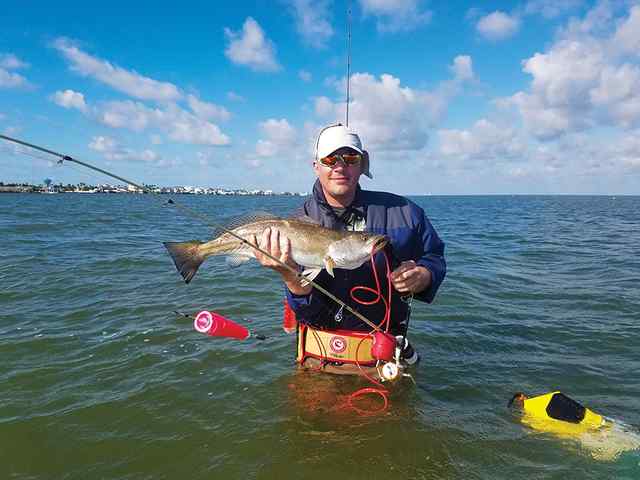 Mike Vella West Galveston Bay - 27" 8.75 lb trout (full of eggs!) CPR, caught on live shrimp under a Mid Coast Cork