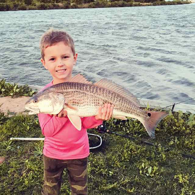 Fisher Young Austin Bayou - redfish CPR