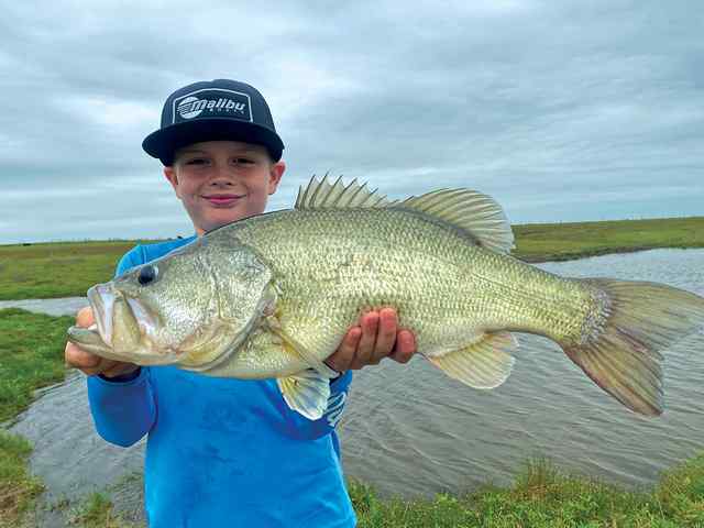 Paxton Markley Granny's Tank - 5 lb bass