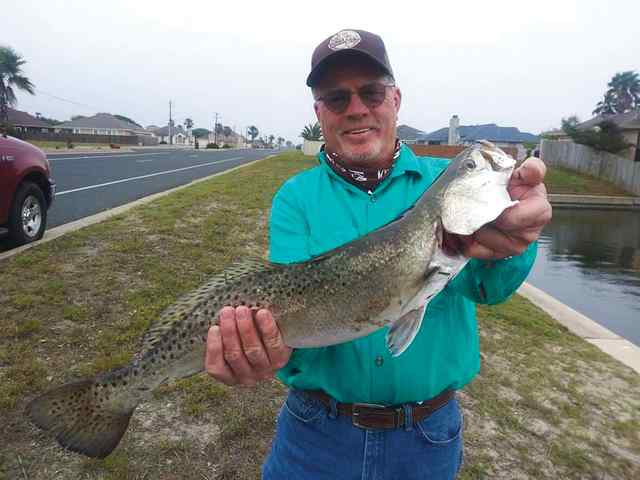 Steve Sullivan Padre Island Canals - 24" speckled trout, caught on live shrimp
