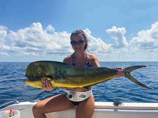Ashley Huckaby Gulf of Mexico, 36 miles out of Freeport - mahi mahi, caught trolling a weed line
