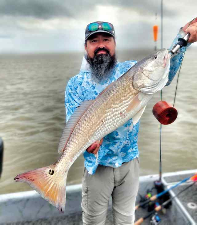 John Vann Galveston Bay - 32" redfish CPR