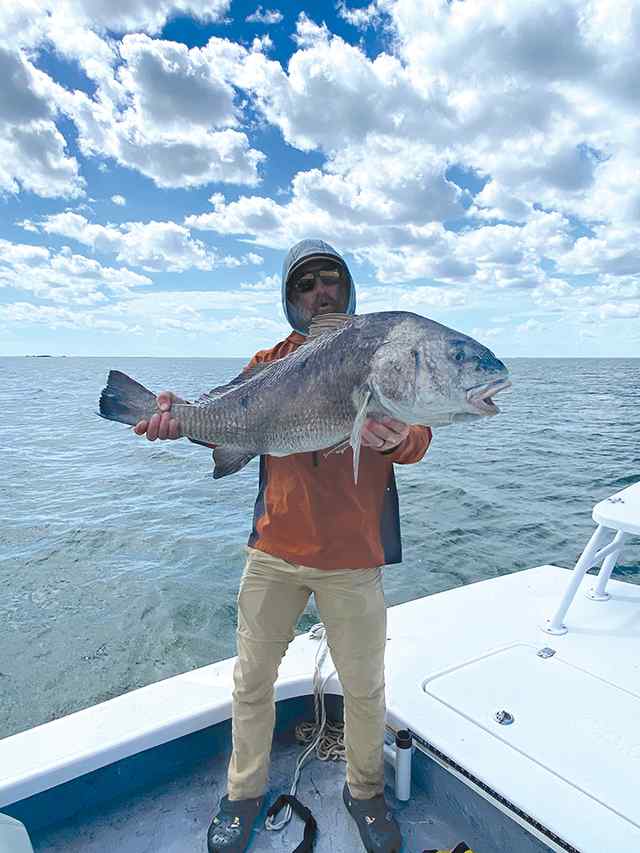 Colt Wing Upper Laguna Madre - 36" black drum