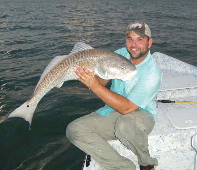 Brandon Auer bull red CPR