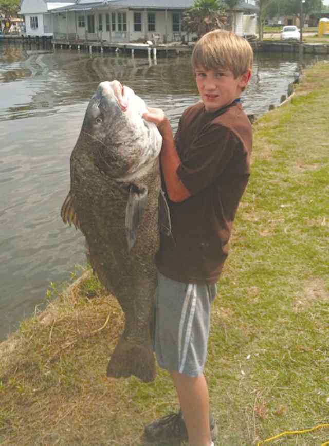 Micah Gautney Chocolate Bayou45&quot; black drum