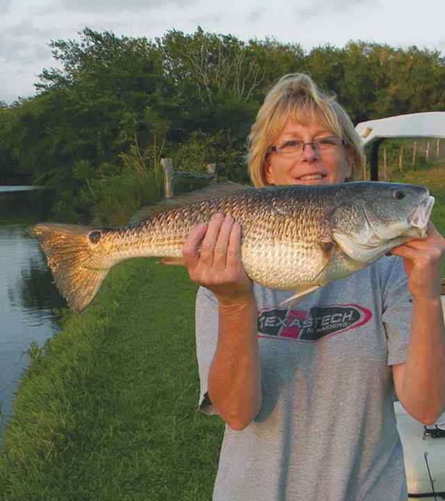 Sally Kurtz Palacios23&quot; redfish