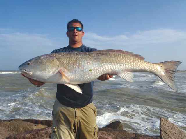 Orlando Ochoa, Jr. Port Mansfield44&quot; redfish