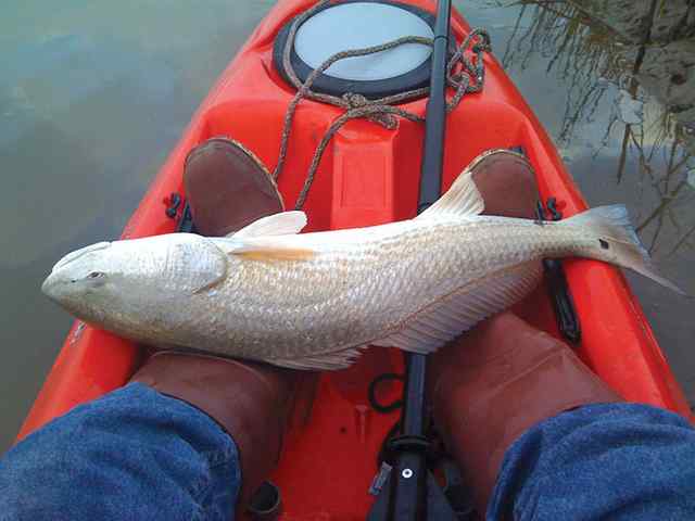Dave Smith Bryan Lake32&quot; red CPR