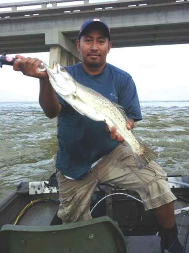 Ray Argueta San Luis Pass23&quot; speck