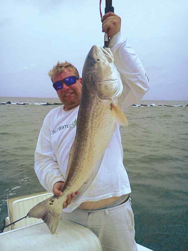 Allen Armstrong Galvestonbull red CPR