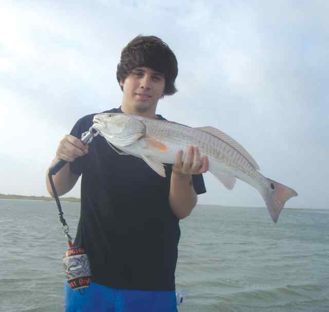 Gerry Davis The Cutredfish