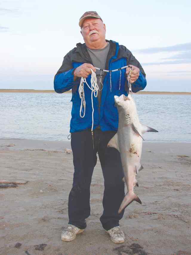 Mike Smith Matagordablack tip shark