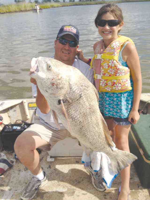 Grace Solo Trinity Bay40&quot; black drum