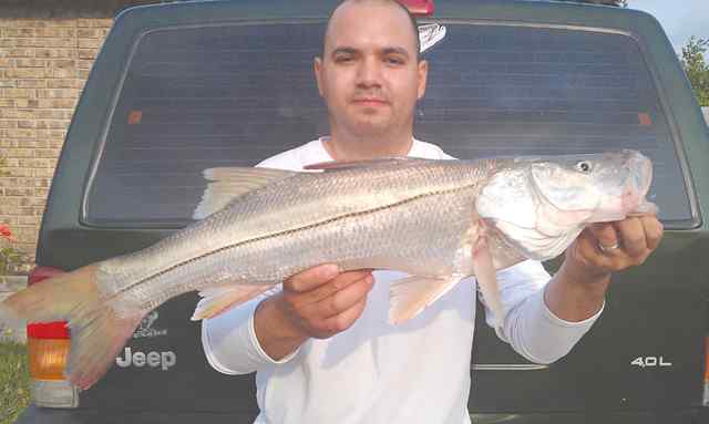 Rudy Trevino Brownsville Ship Channel28&quot; snook