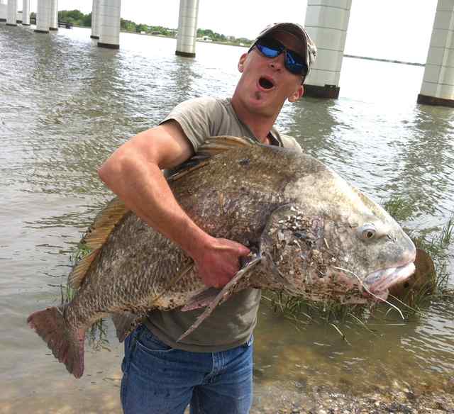 Vasile Apostu Galveston Bay52lb black drum