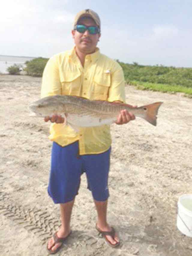Frank Ortiz Southbay29&quot; redfish