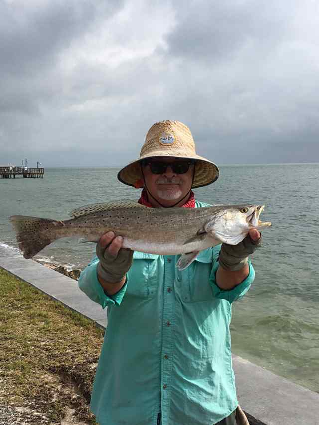 Mike Gavlik Rockport - 24" trout