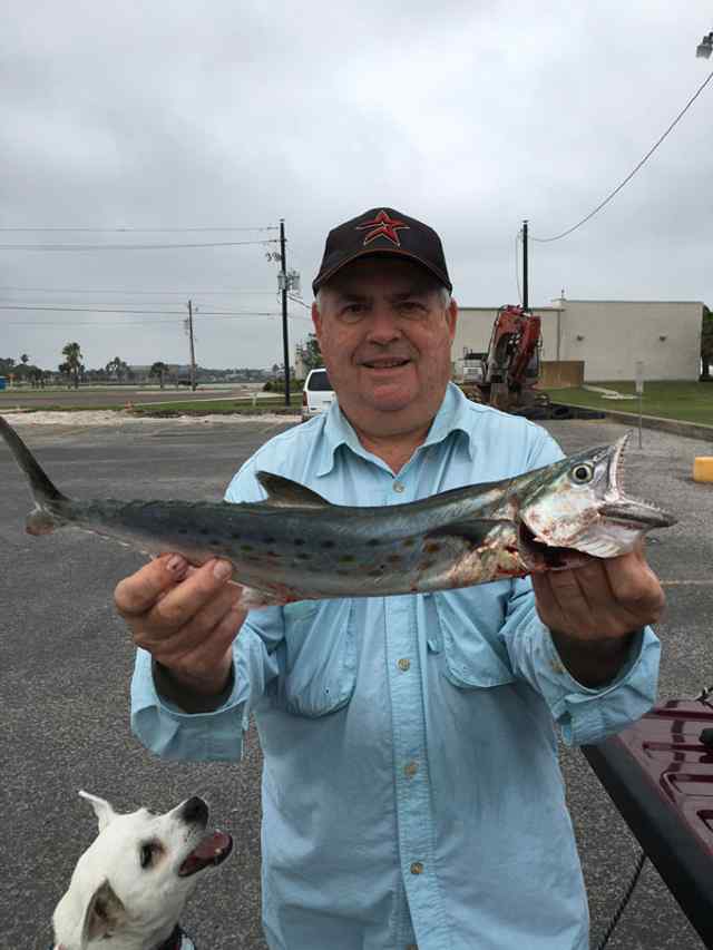 Richard Von Minden Rockport - 22" Spanish mackerel