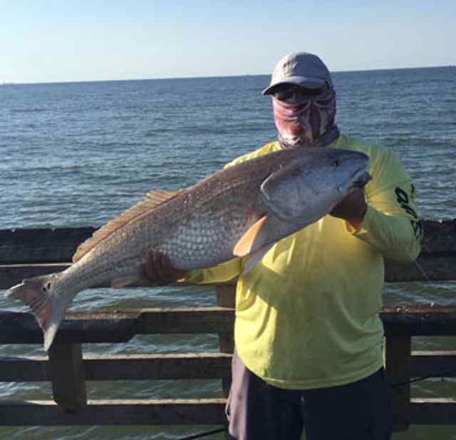 Gabriel Rocha Galveston, 61 st pier - 42" 30 lb personal best red! CPR