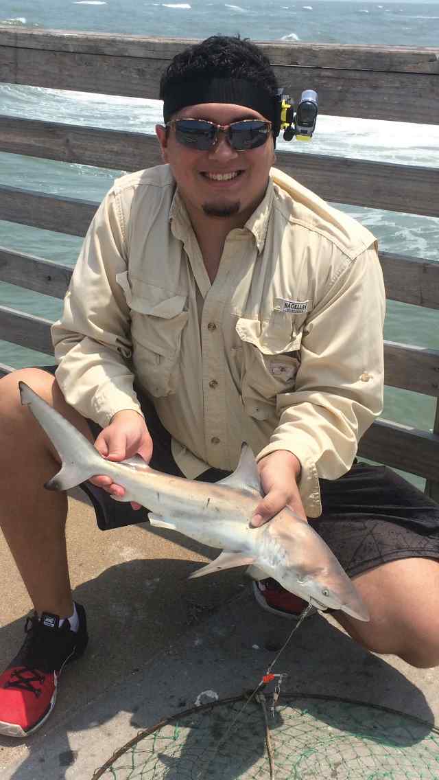 Gavin Peña Port Aransas - first blacktip shark!