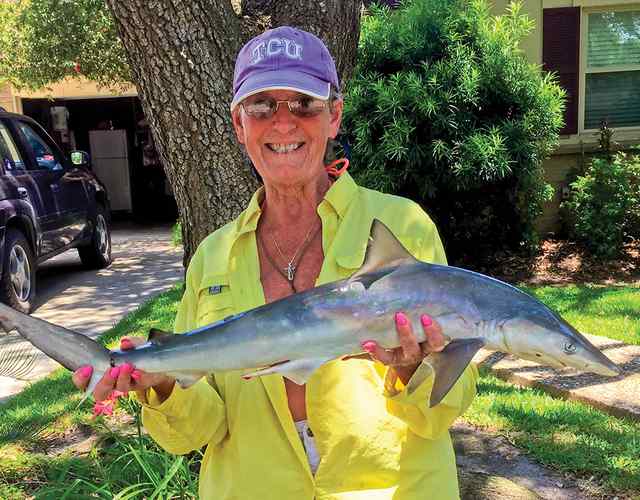 Debby Brady Texas City Dike - 36" sand shark