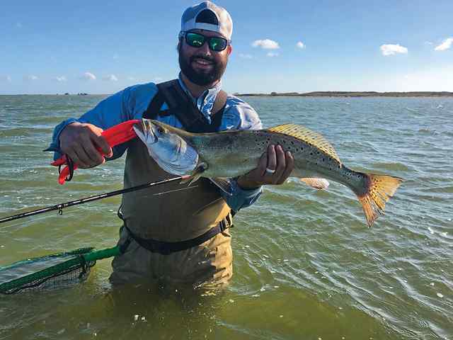 Will Holcomb Baffin Bay - 29" speckled trout CPR
