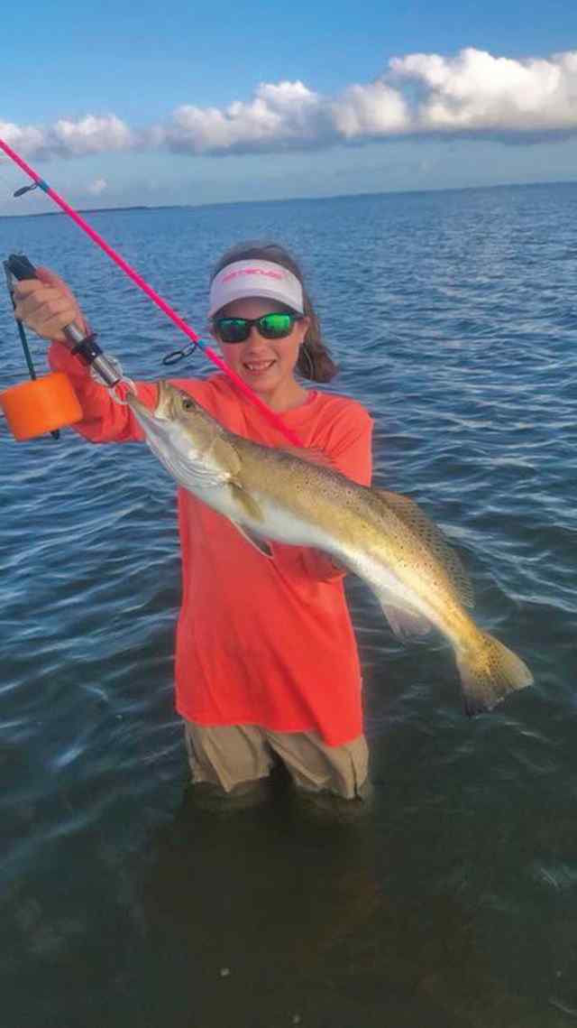 Summer Young speckled trout