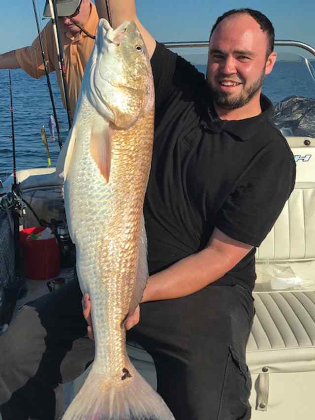 James Lightsey Sargent (1.5 miles offshore past Mitchell's cut) - 39" redfish CPR, caught on menhaden