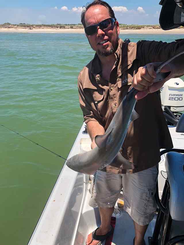 Jonathan Parsons Matagorda beach - blacktip shark