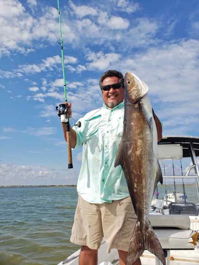 Greg Pineda 44" cobia, caught on light tackle