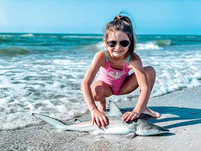 Analeigh Turner Matagorda - black tip shark