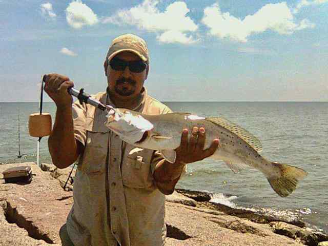 Julian Quintero Galveston seawall jetties - 22" speckled trout, caught on live shrimp under popping cork