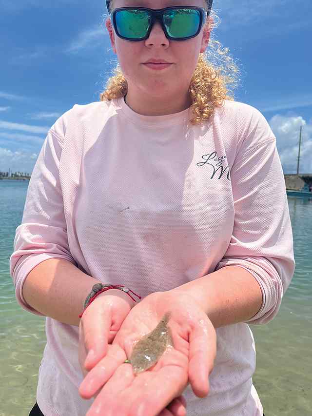 Marley Crisp Corpus Christi - flounder