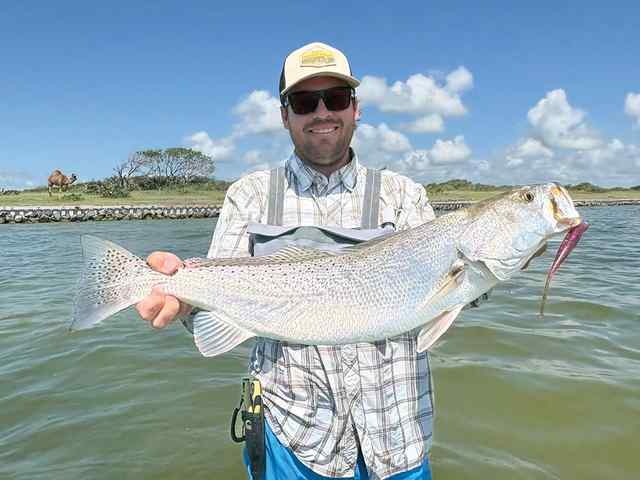 Hatch Campbell Baffin Bay - 28" 7 lb trout, caught wade fishing with dad, Shane, and brother, Hunter