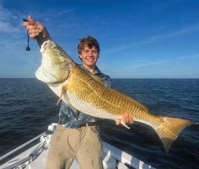 Andrew Crisp Galveston West Bay - 40" redfish CPR, caught on an artificial shrimp