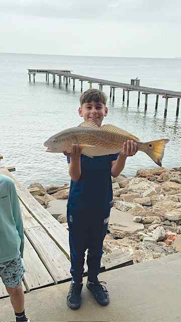 Sean Dominguez San Leon, off Peepaws Pier - 28" red