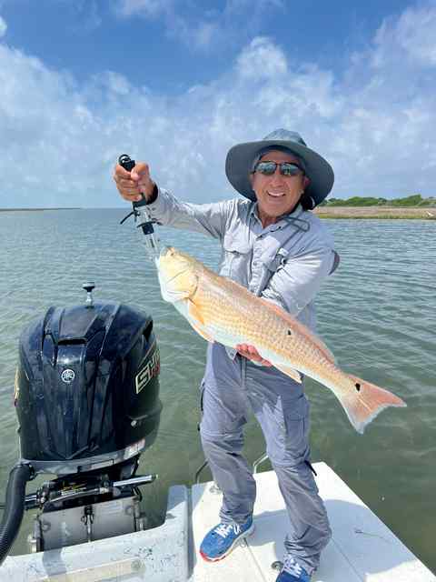 Sunny Torres Shoalwater Bay - 30" redfish