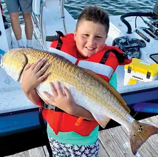 Daniel Solano Rockport - 41" bull red