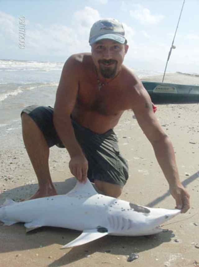 Brian Cantrell High Island
blacktip shark