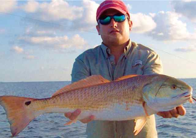 Israel Castillo 32" redfish