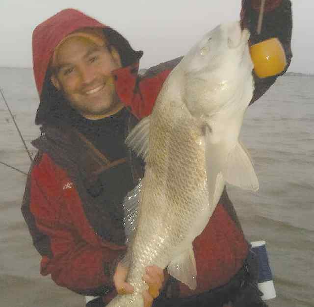 Mike Escobedo Port Mansfielddrum