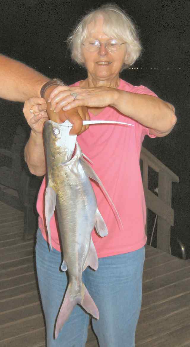 Alice Johnson ICW28&quot; gafftop