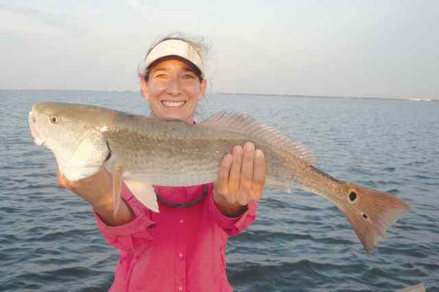 Jennifer Todd Rockport24&quot; first keeper redfish!