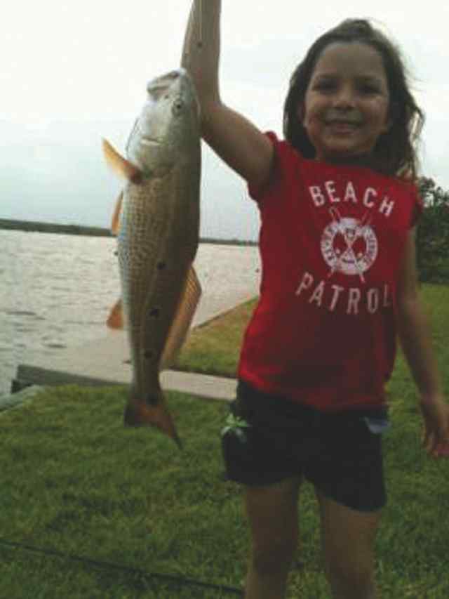 Breana Banda Bayou Vista24&quot; redfish