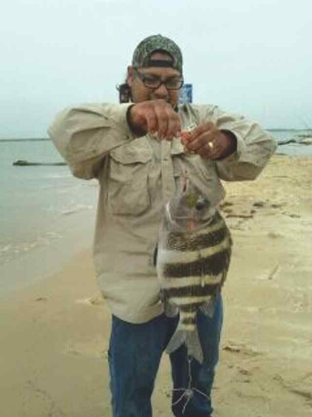 Alberto Gaspar Freeport18&quot; sheepshead