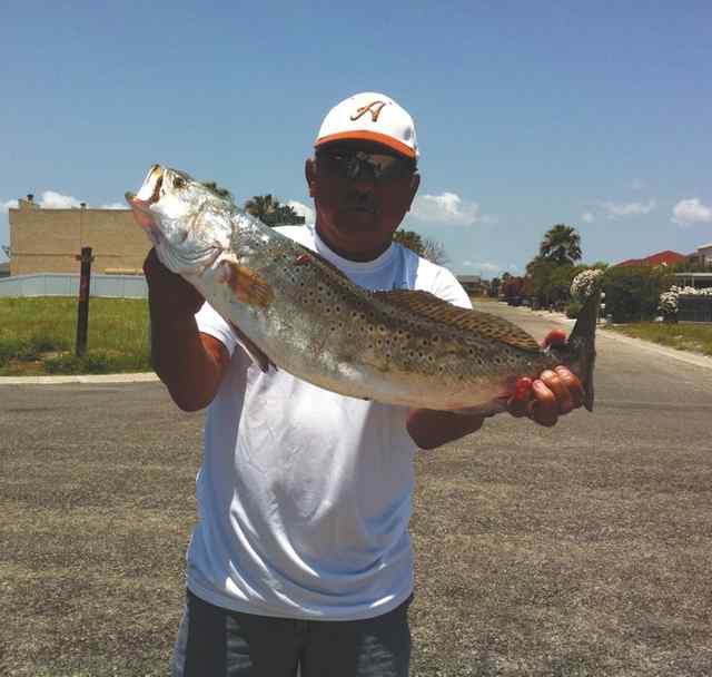 Robert Comez Packery Channel27.5&quot; trout